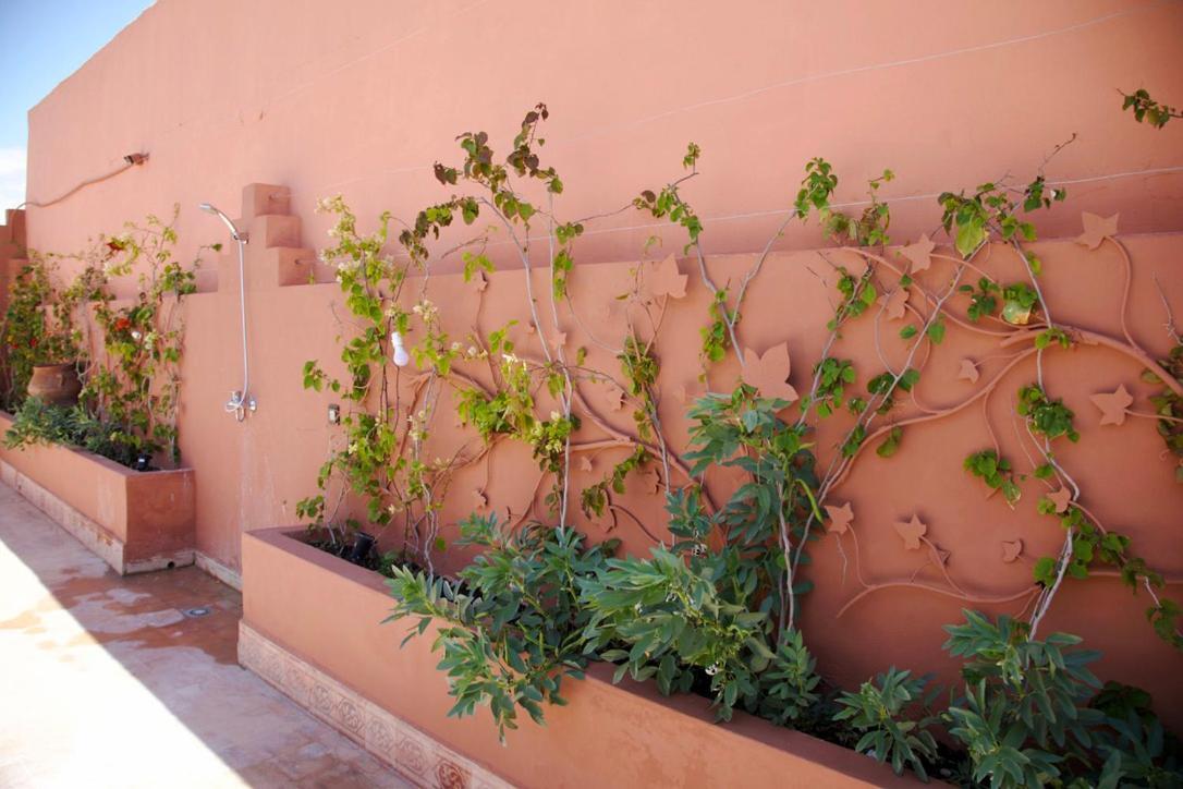 Riad Riad Kech One & Spa *